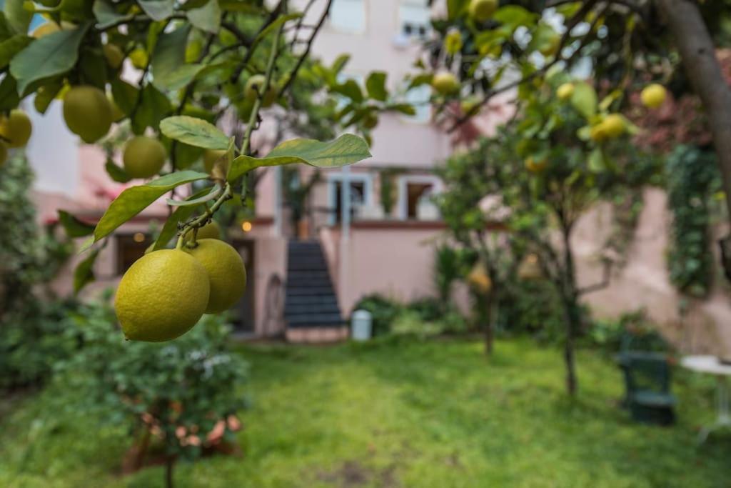 Secret Garden House Appartement *