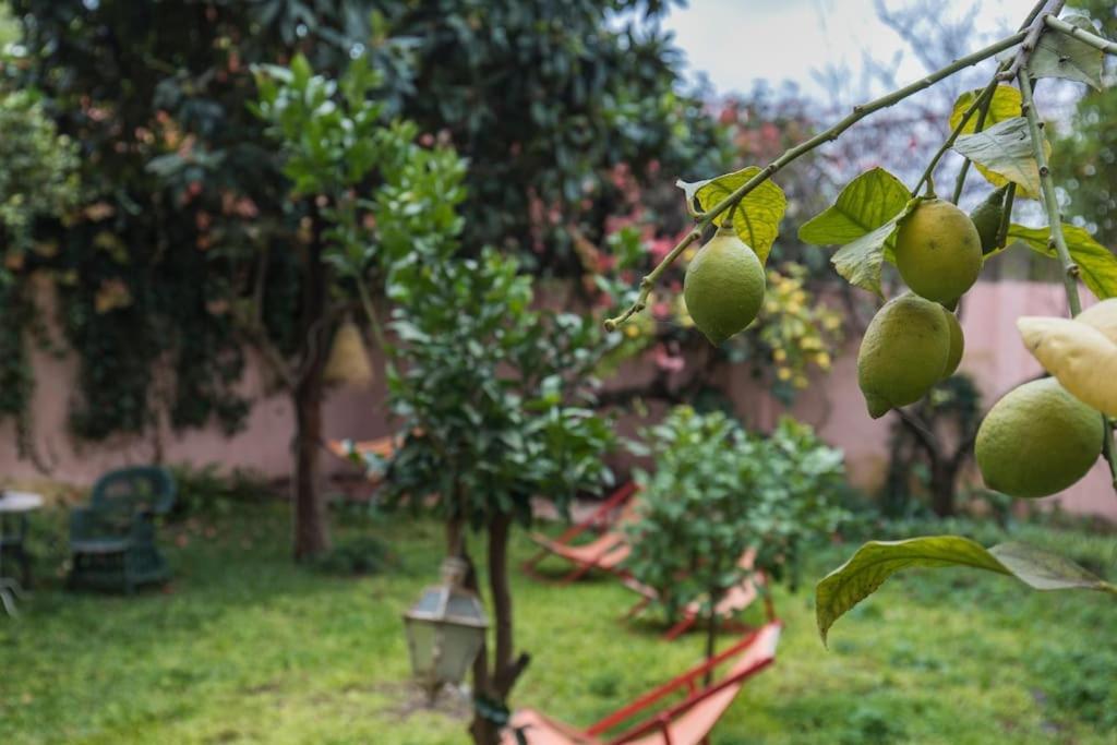 Appartement Secret Garden House Lissabon
